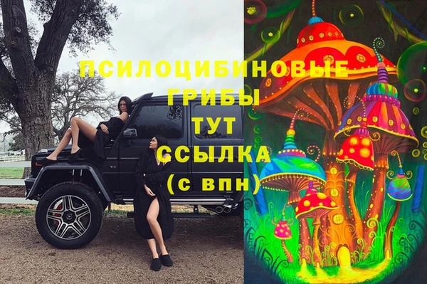 MDMA Алексеевка